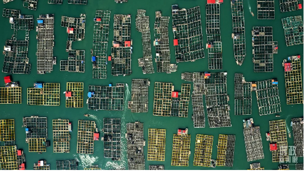 習近平赴福建考察05
